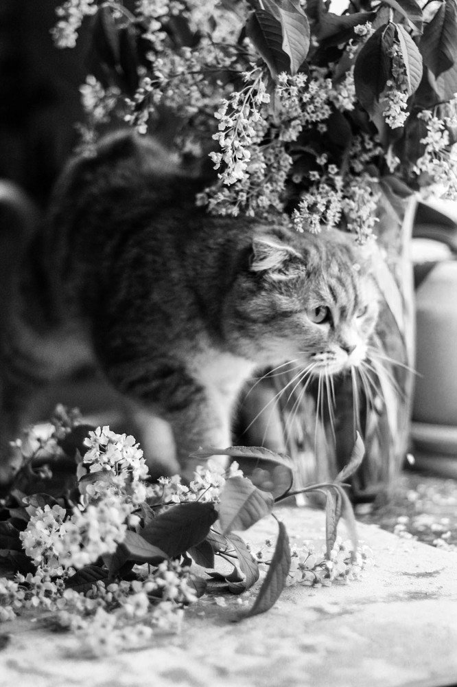 Photograph by Юлия Мельникова