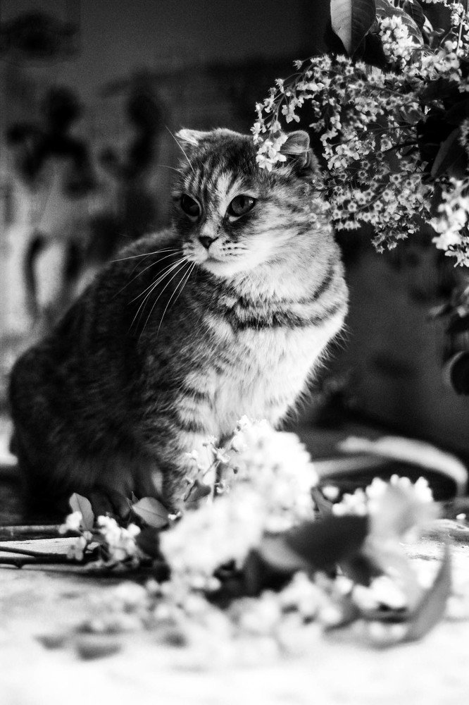 Photograph by Юлия Мельникова