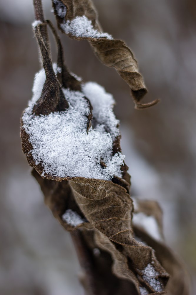 Photograph by Оксана Казакова