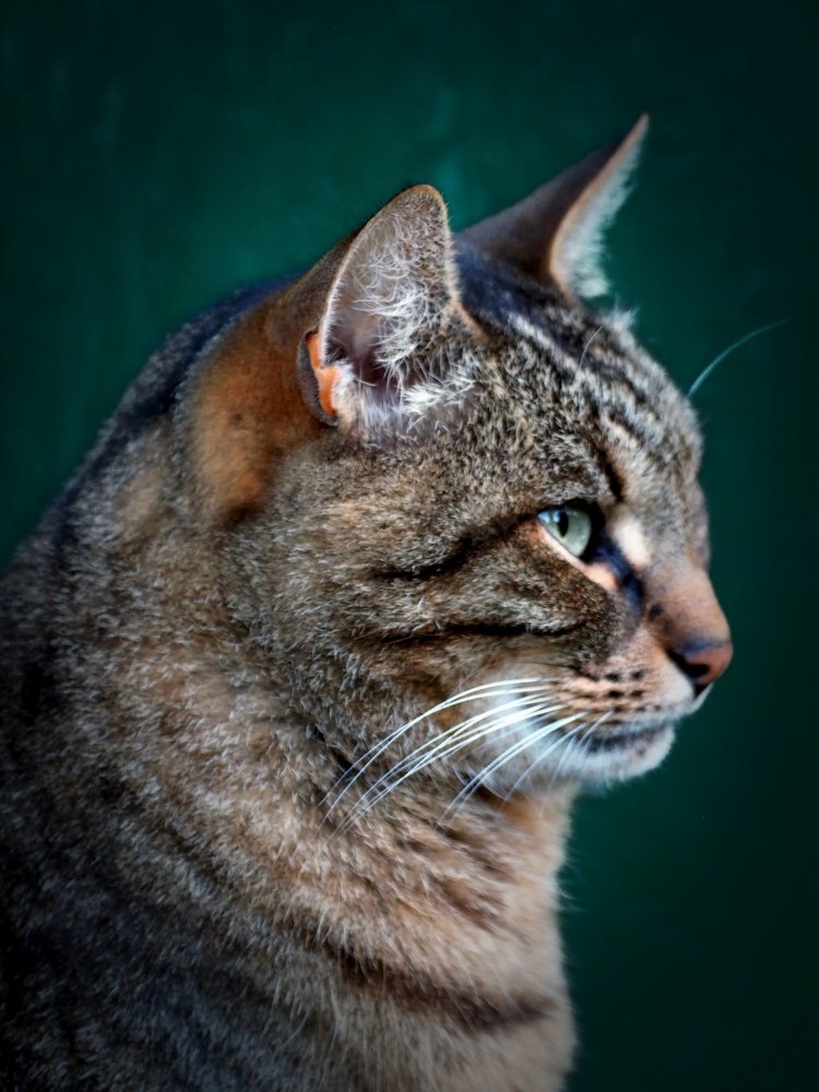 Photograph by Михаил Малец