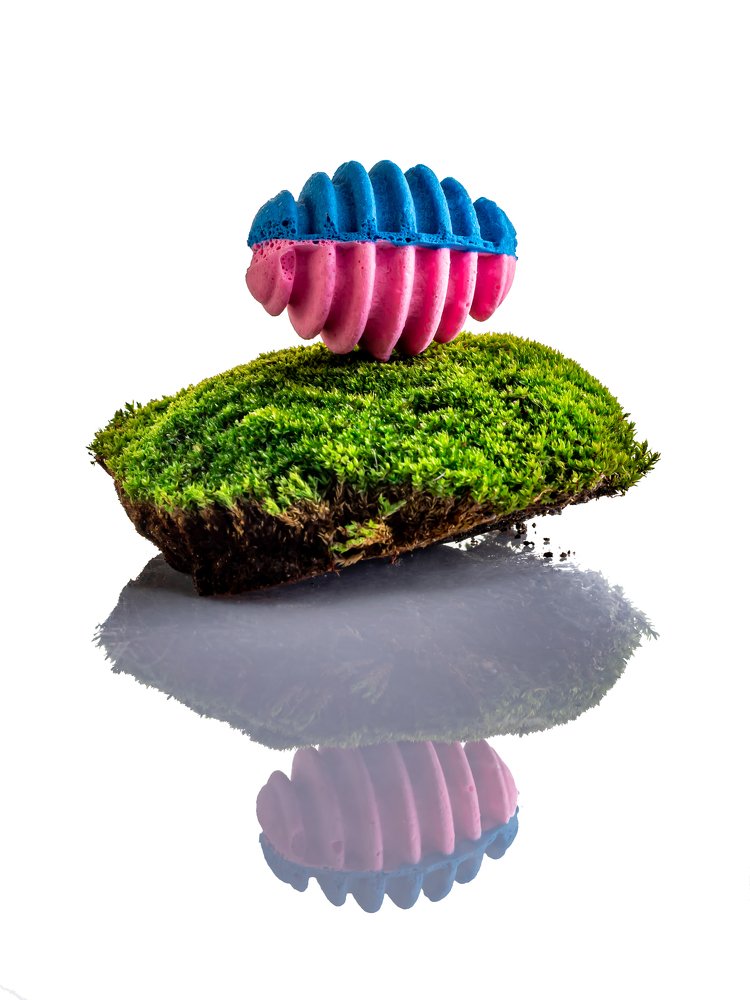 Photograph by Анатолий Павлович