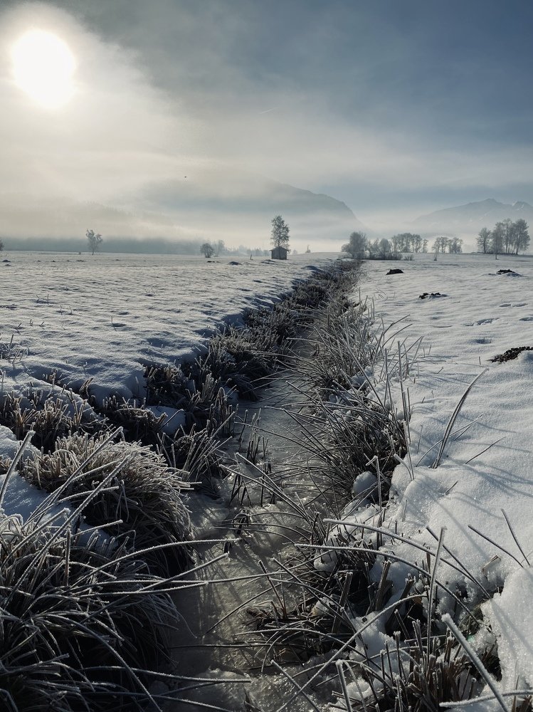 Фотография автора Maria Alekseeva
