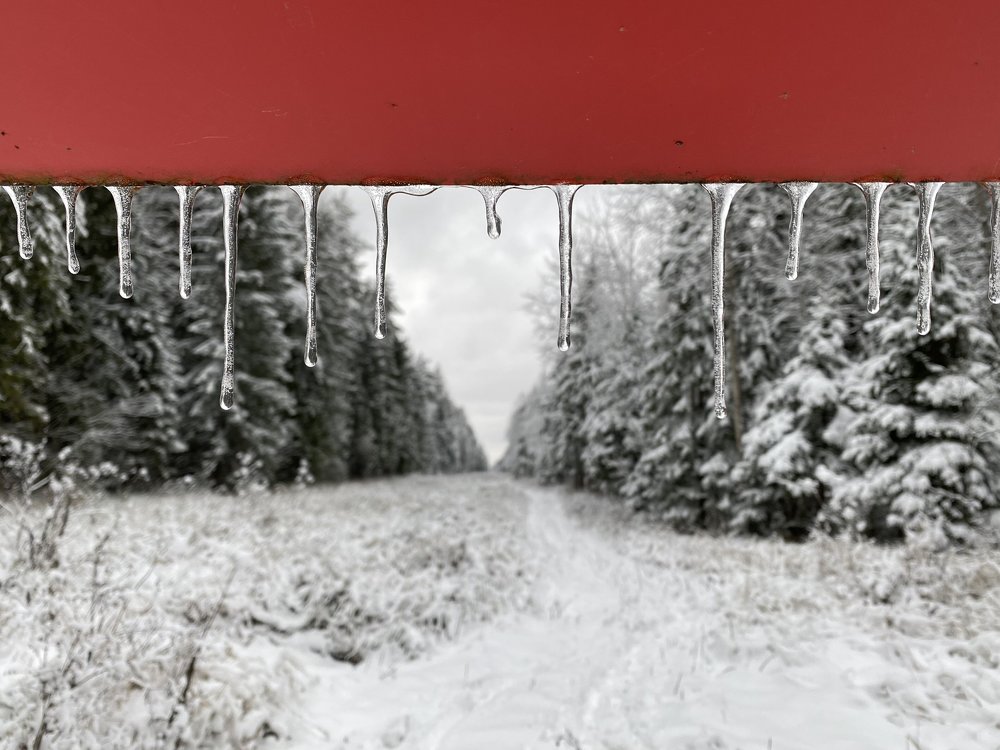 Фотография автора Maria Alekseeva