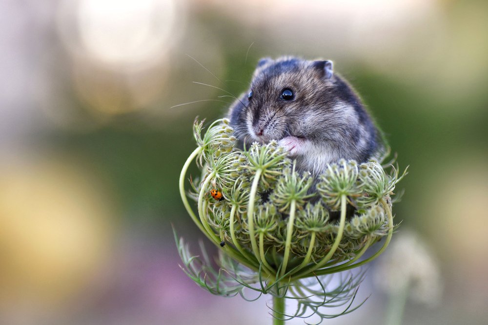 Photograph by Чернобай Анна