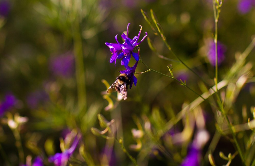 Photograph by Андрей Киричук