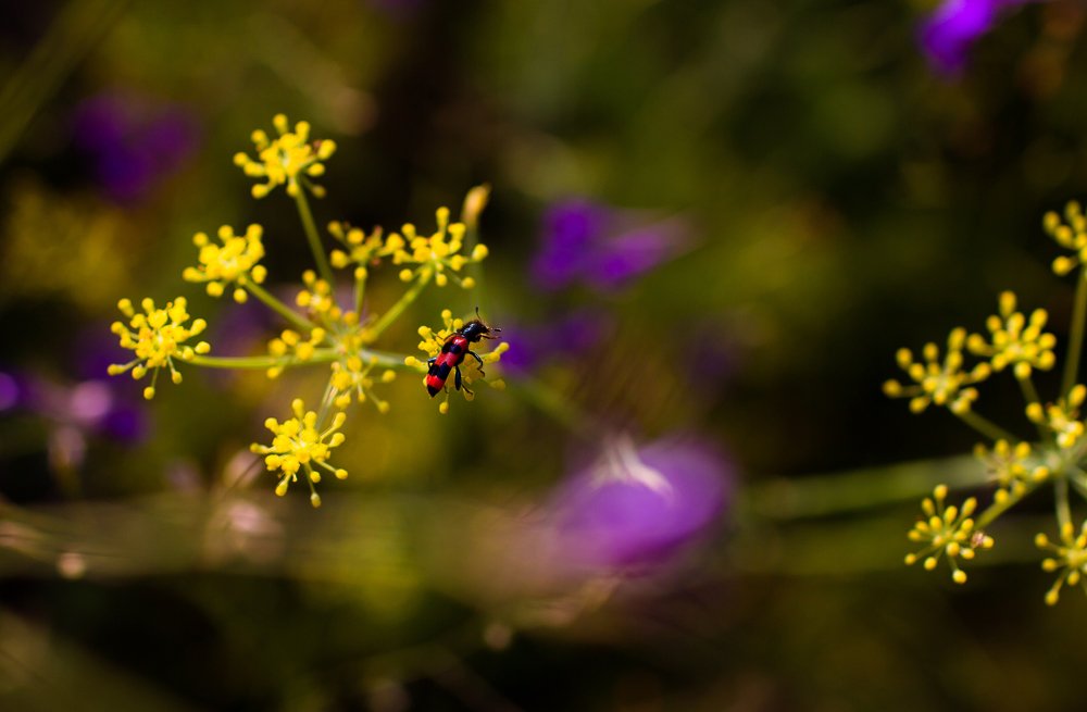 Photograph by Андрей Киричук