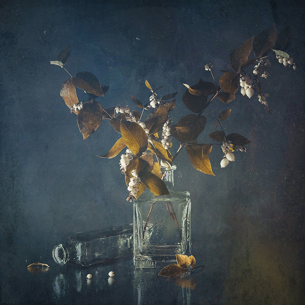 Photograph by MVO (Марк Орлов)