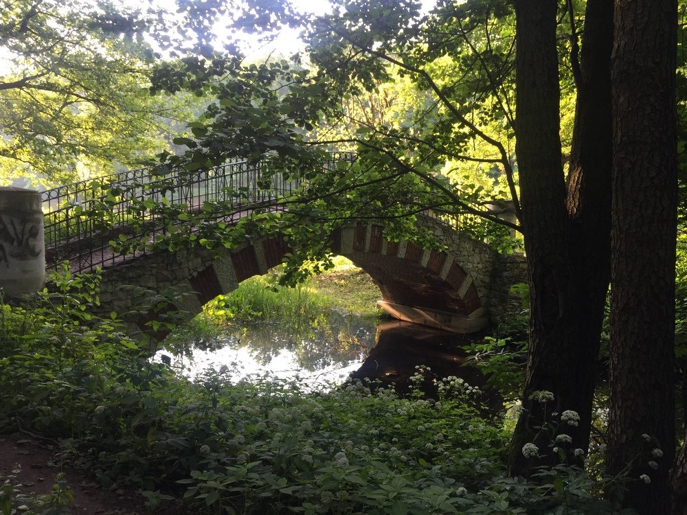 Photograph by Александр Знаменский