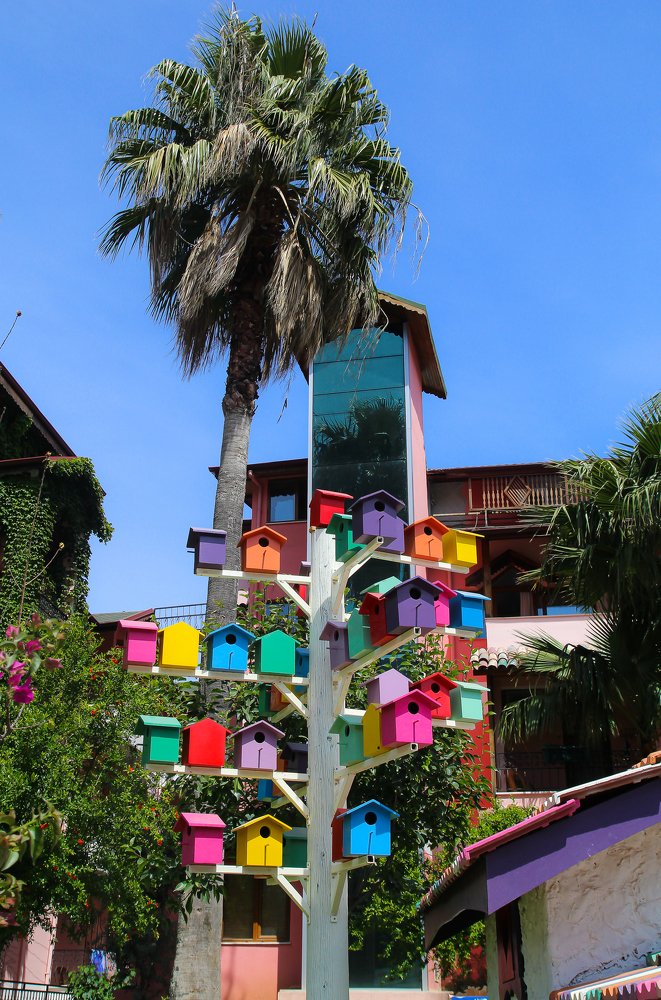 Photograph by Андрей Киричук