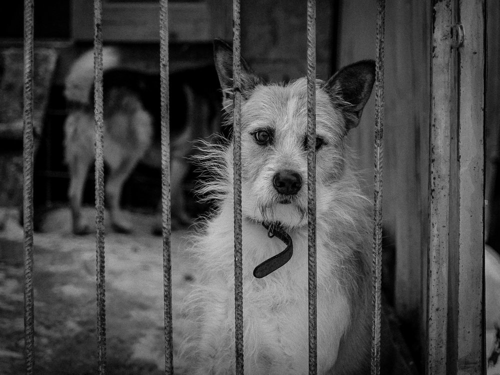 Нет выхода...