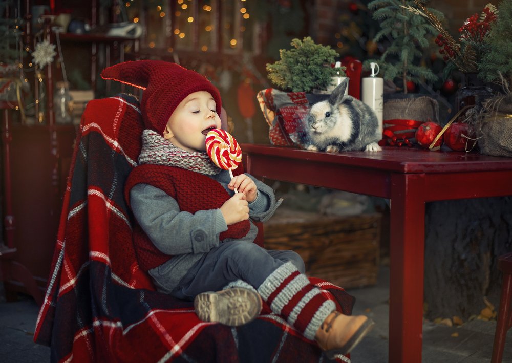 Фотография автора Катерина Лебедева