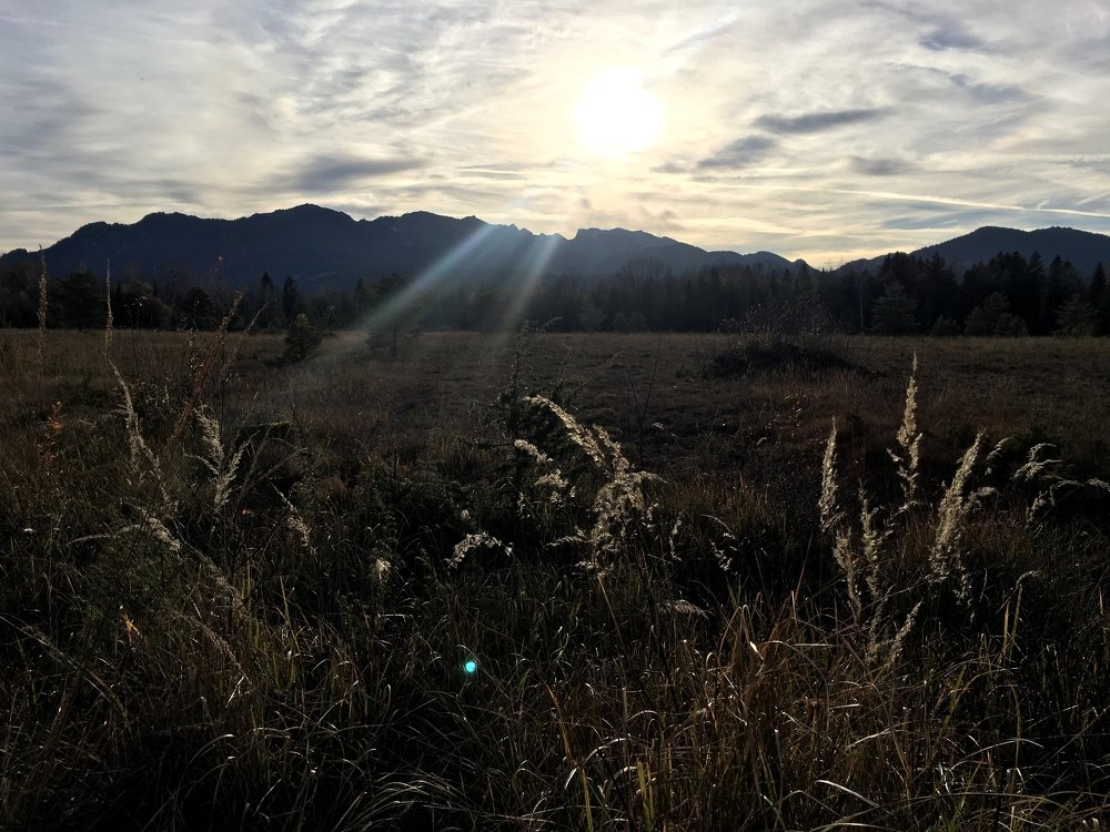 Photograph by Tatjana Bachmann