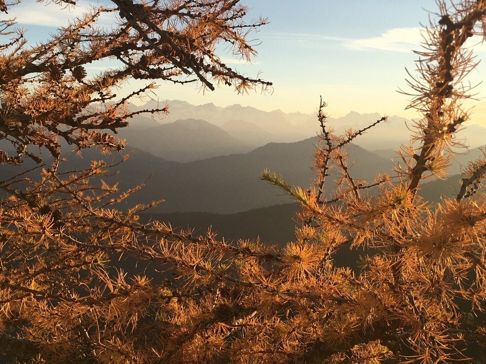 Photograph by Tatjana Bachmann