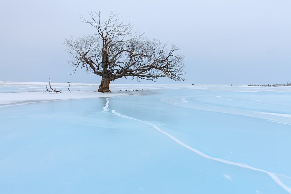 Photograph by Алексей Закиров