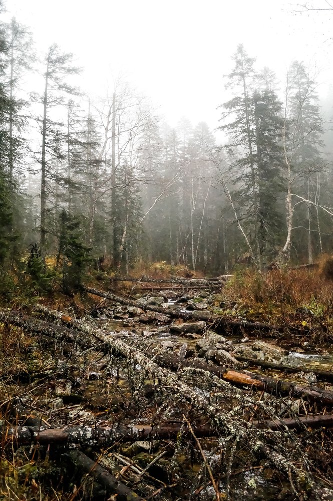 Photograph by Виктор Сёмушкин