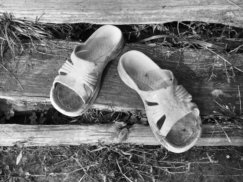 Негламурные дачники