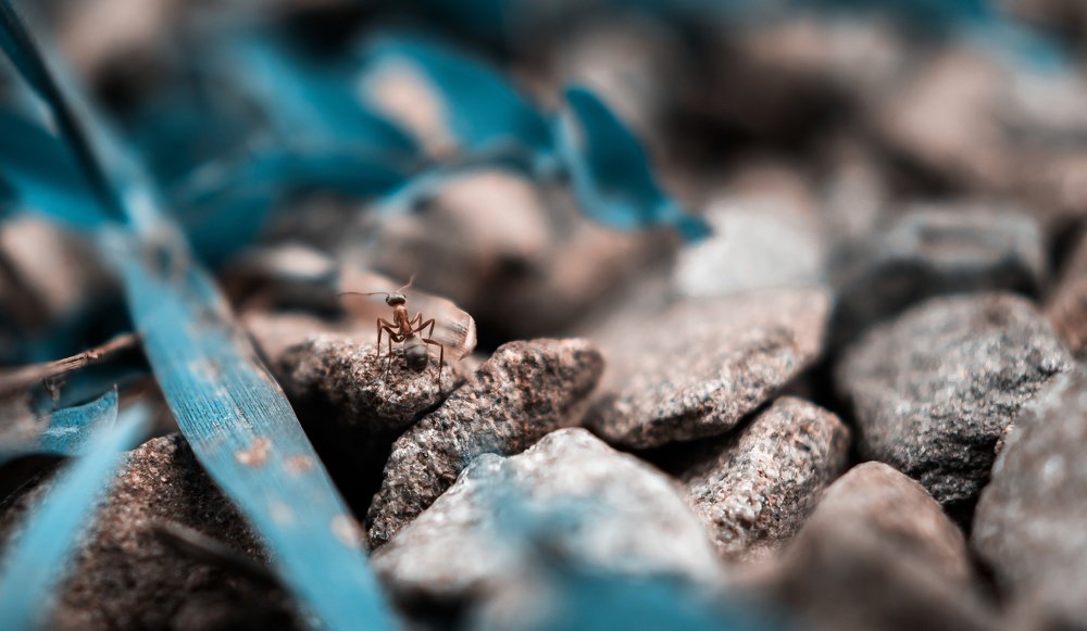 Photograph by Дмитрий Коваленко