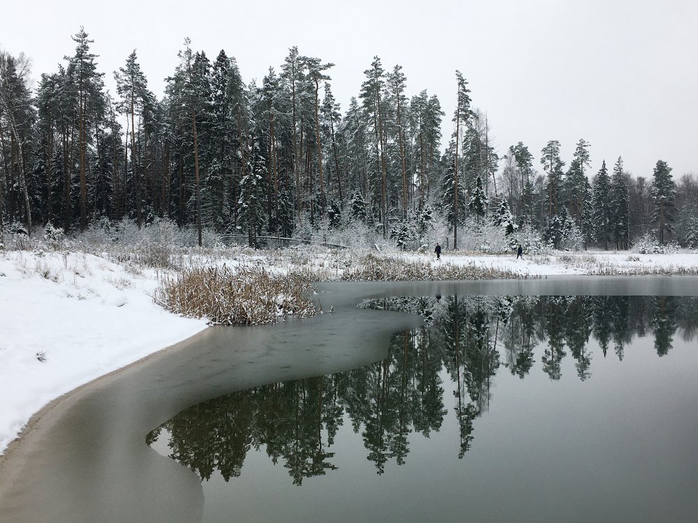 Начало зимы