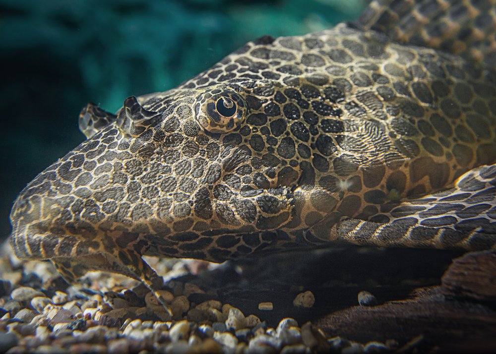 Photograph by Сергей Калинин