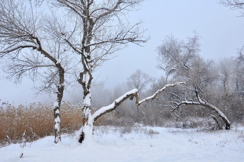 Photograph by Александр Штифман