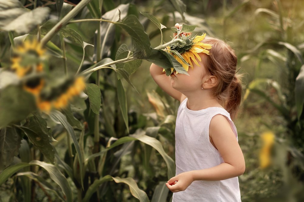 Photograph by Юлия Джура