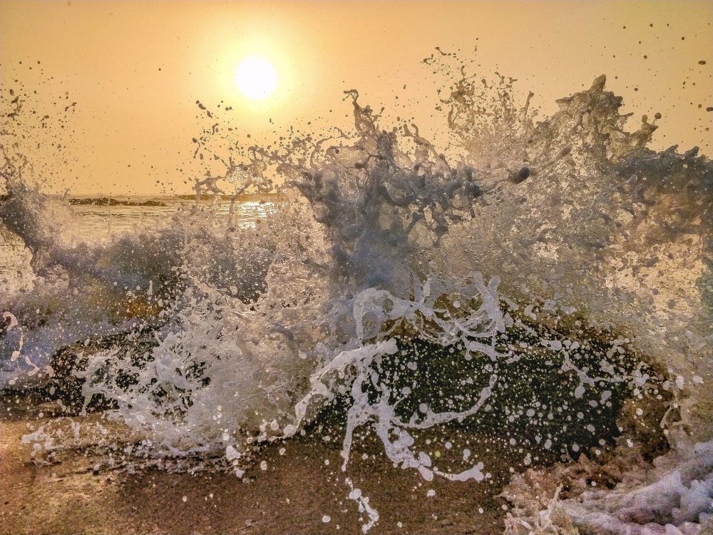 Photograph by Sameer Sharma