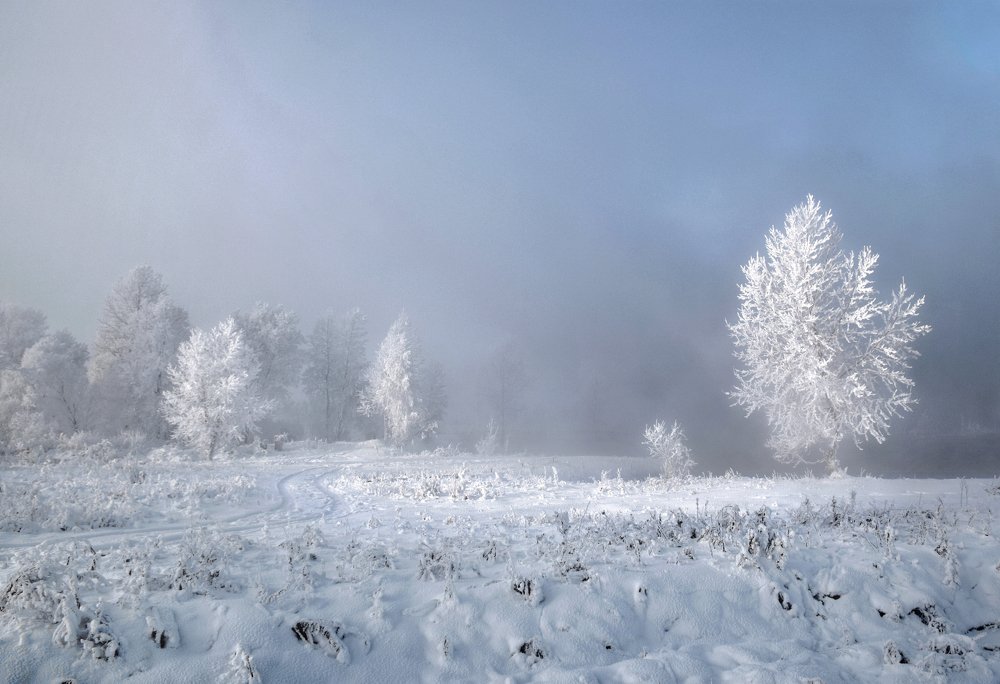 Photograph by Светлана Крат