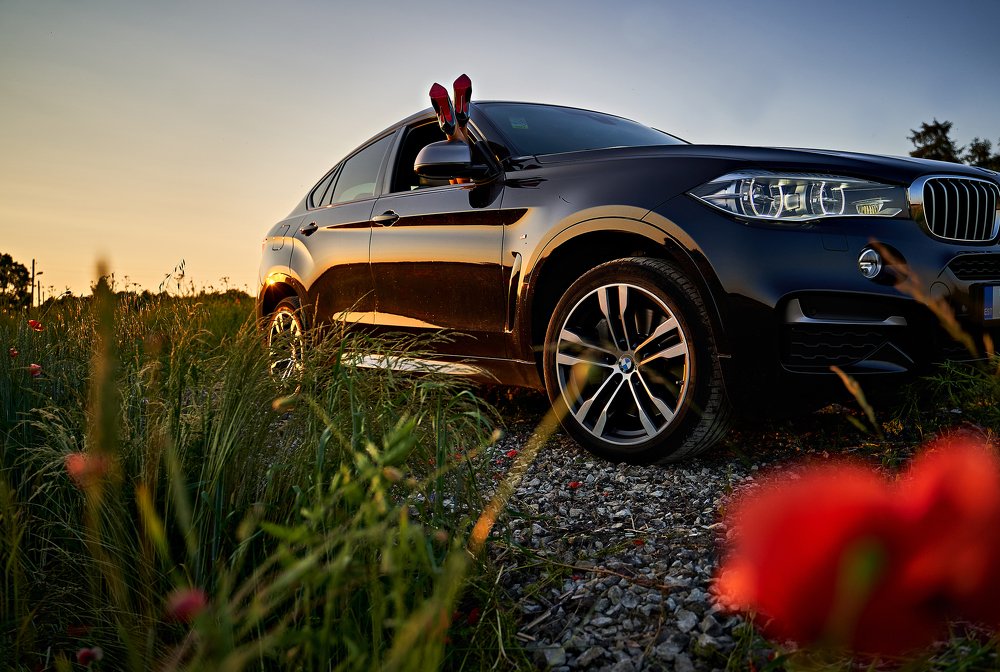 Photograph by Olga Hartmann