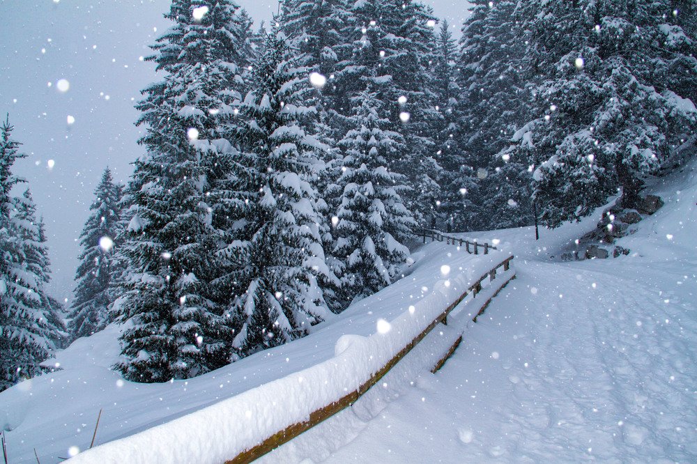 Photograph by Владимир Гречанинов