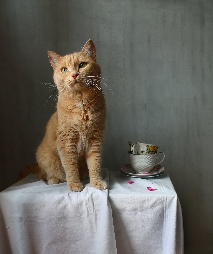 Photograph by Курочкина Диана