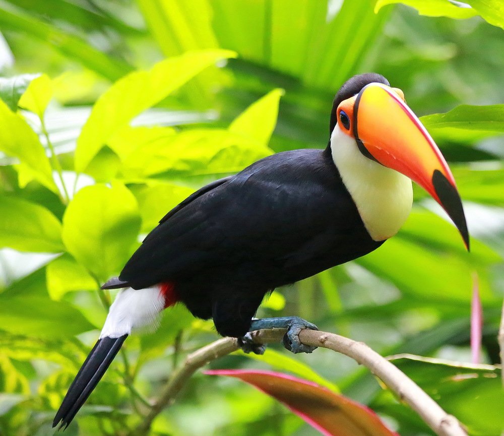 Photograph by Александр Юдин