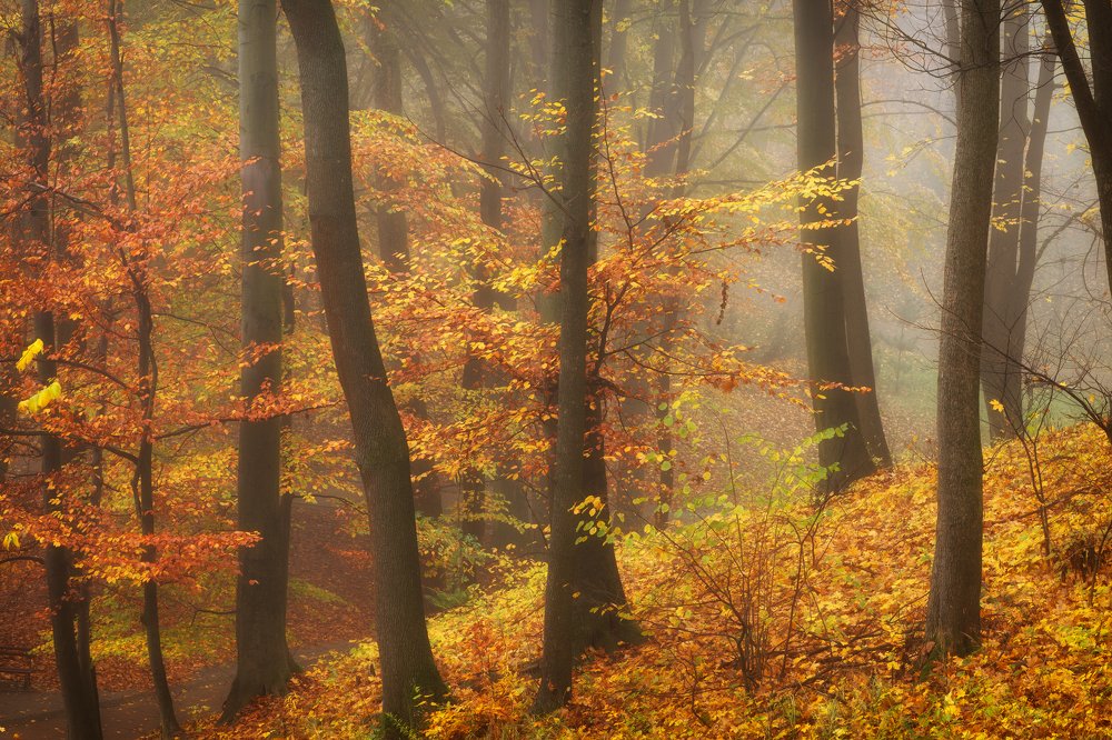 Photograph by Pavlo Lys