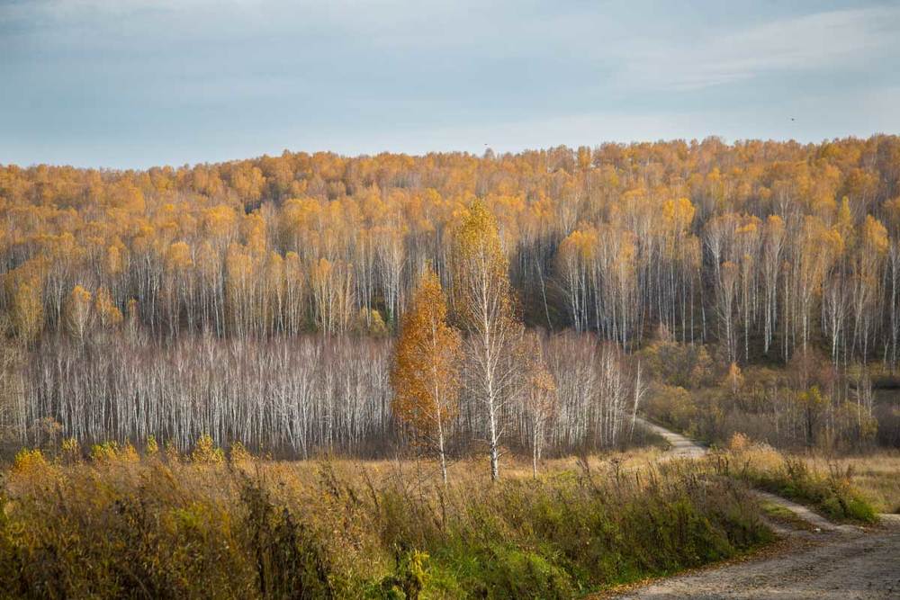Photograph by Владимир