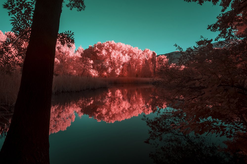 Photograph by Svetozar Simov