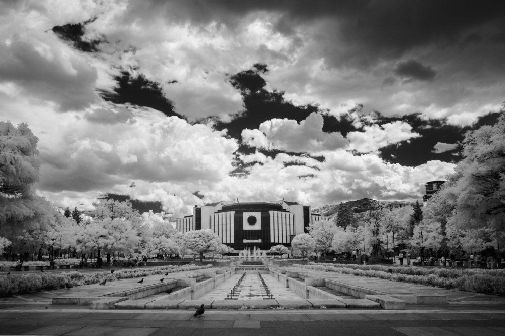 Photograph by Svetozar Simov