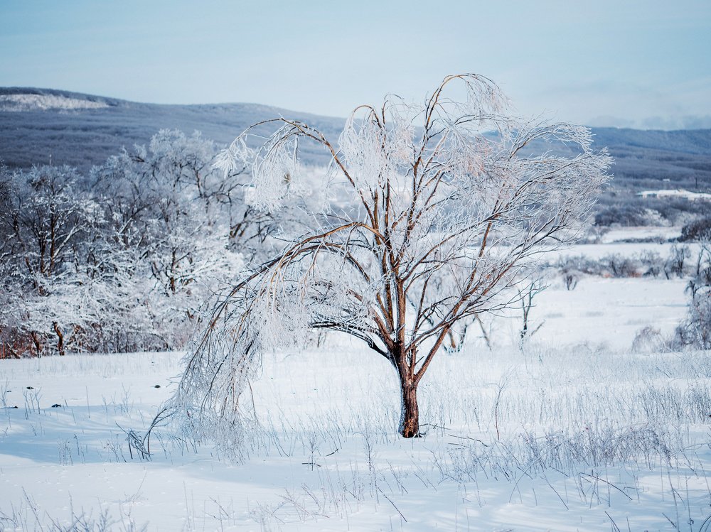 Photograph by Сигида Дмитрий