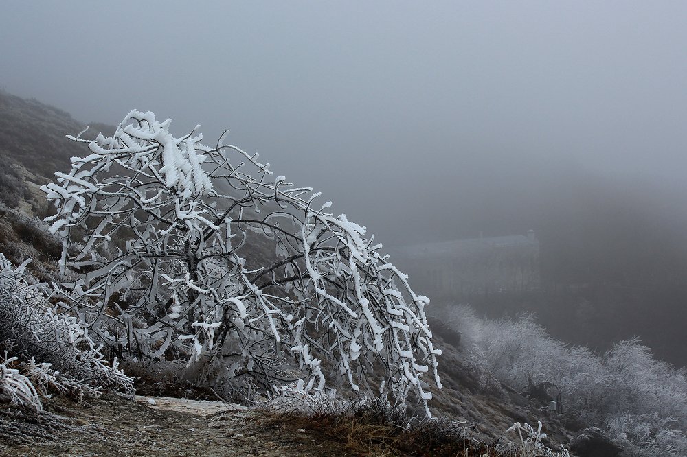 Photograph by Прялкин Сергей