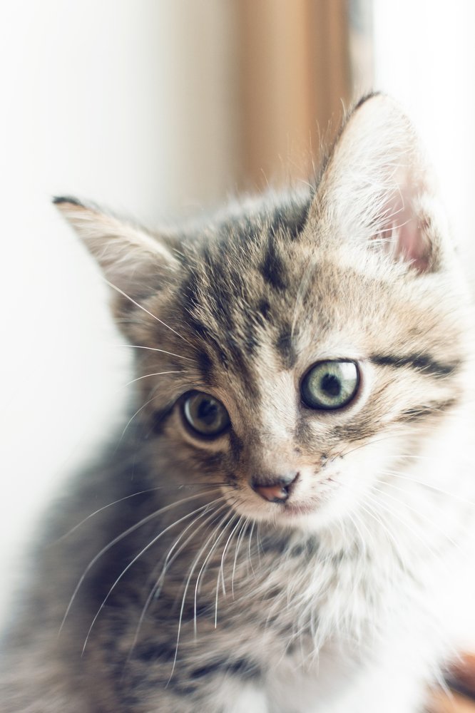 Photograph by Кристина Сотникова