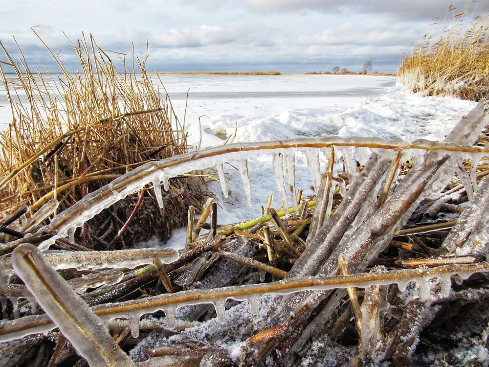 Photograph by Марина Савченко