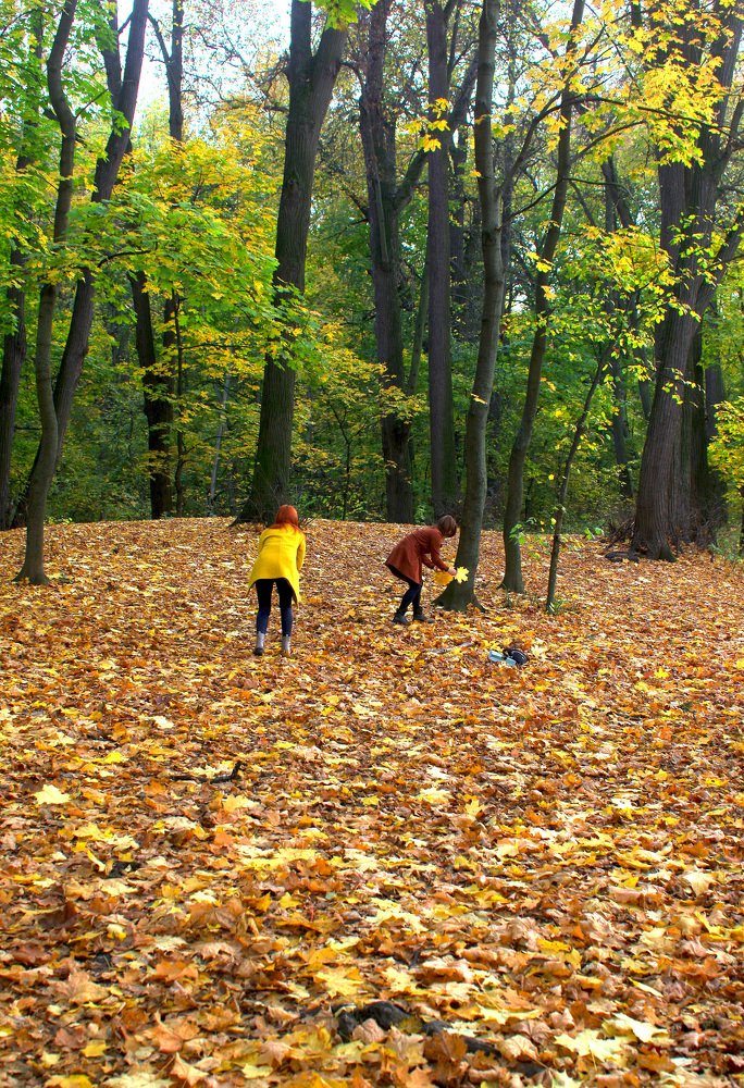 Photograph by Михаил Обертаев