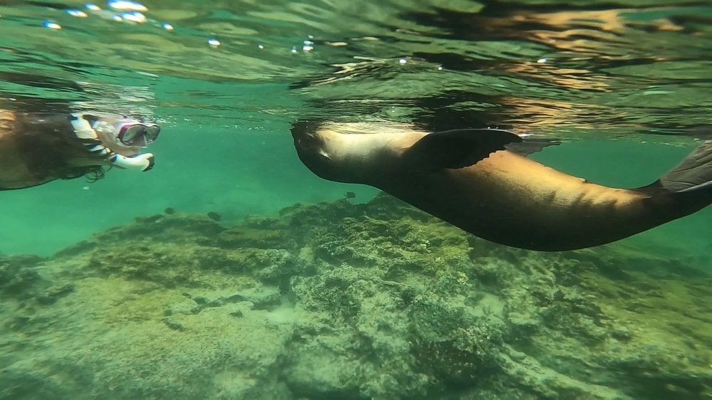 Photograph by Syed Farouk