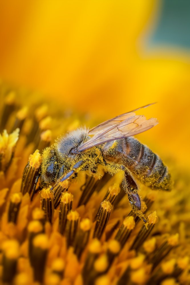 Photograph by Cristi Dădălău