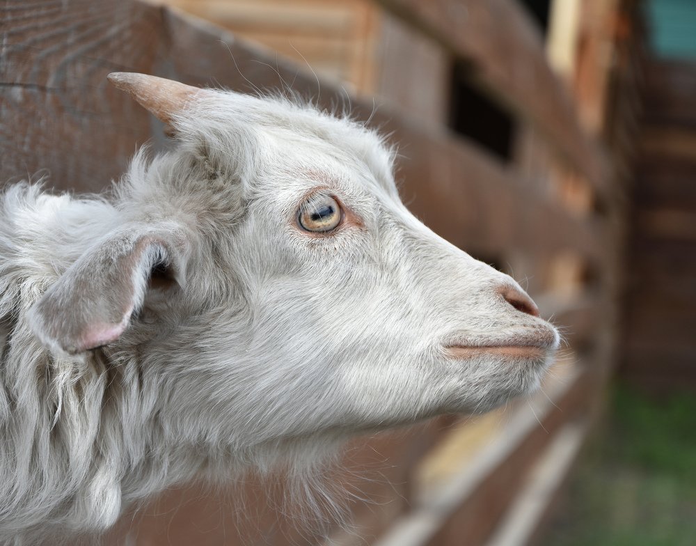 Photograph by @bersenika