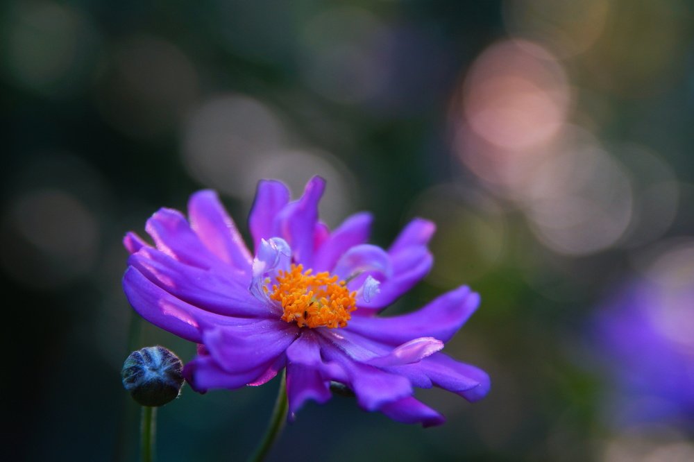 Photograph by Марина Гнедаш