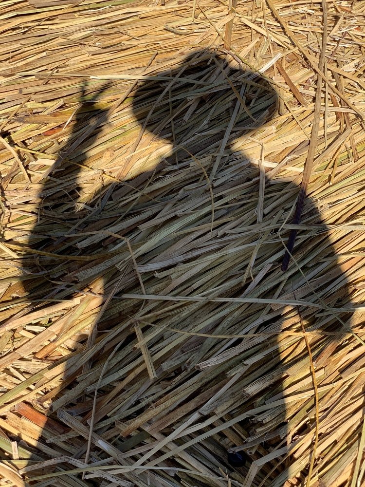 Photograph by Syed Farouk