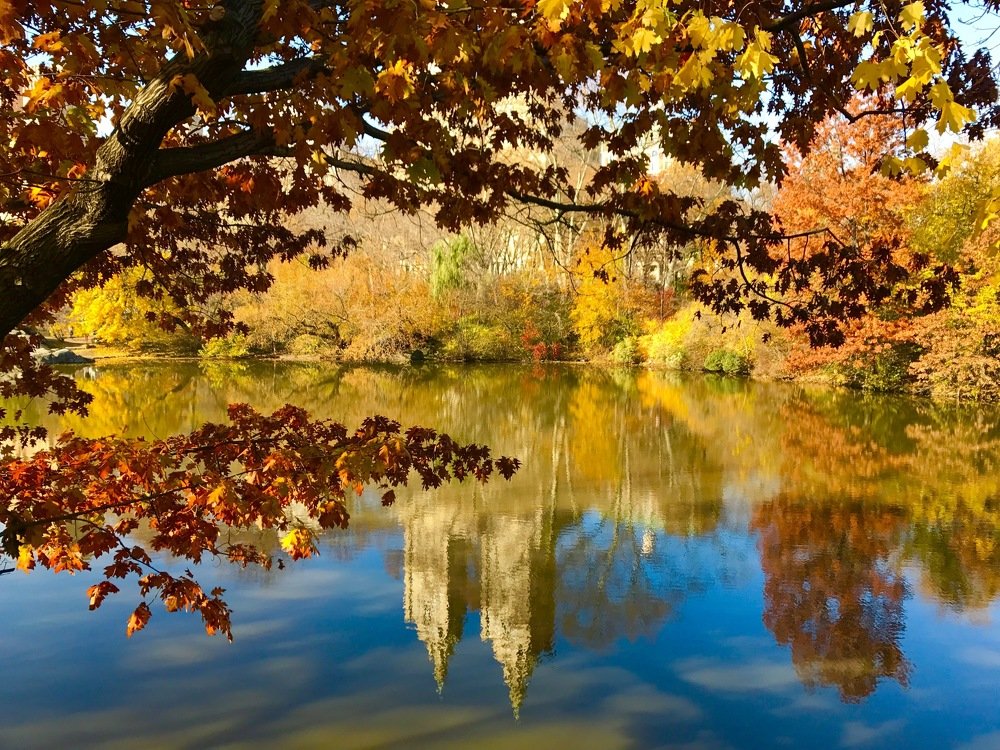 Photograph by Syed Farouk