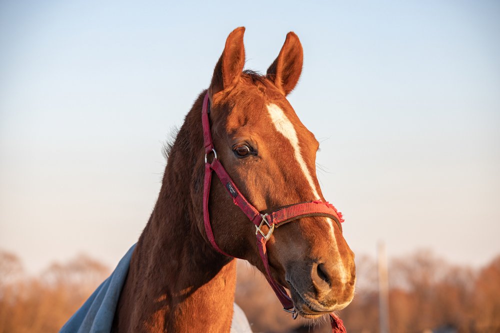 Photograph by Дмитрий Чудинин