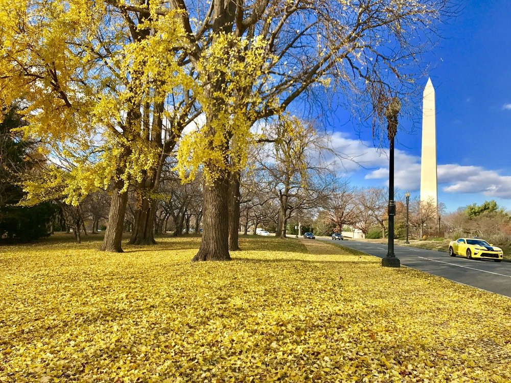 Photograph by Syed Farouk