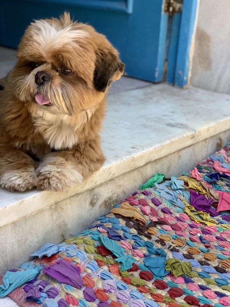 Photograph by Syed Farouk