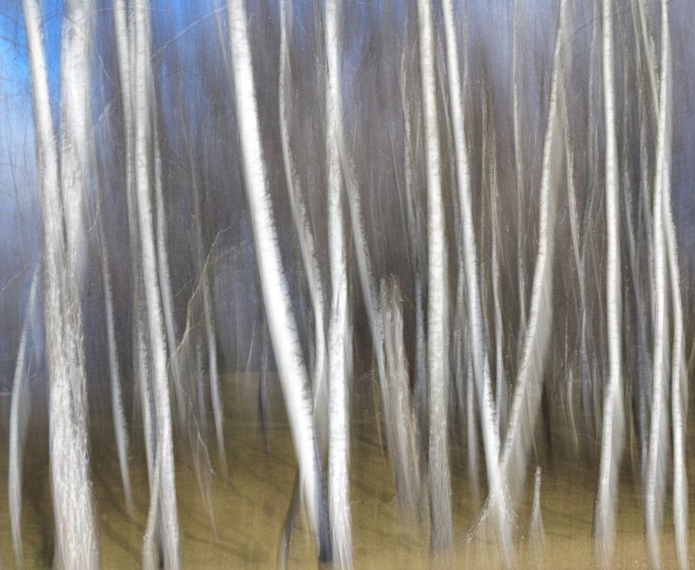 Photograph by Gabriel Tanase